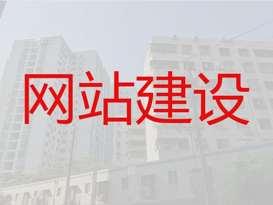 湛江专业网站建设